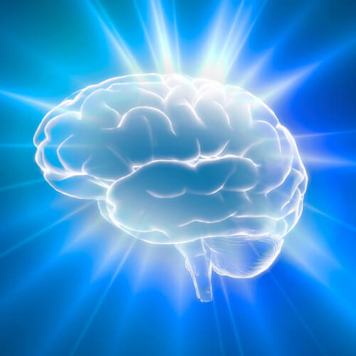 Transtornos do Neurodesenvolvimento